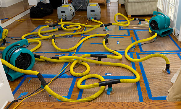 Professional Crawl Space Water Removal technician working in Otsego, MI